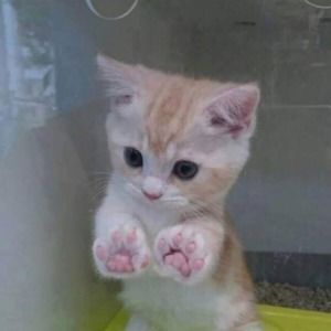 Meet your Posher, Rebeca